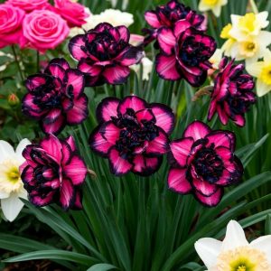 Нарцисс Золотая Корона купить по цене от 2000р. в интернет-магазине «Посадика» с доставкой почтой в в Мосальске и по всей России – [изображение №1].