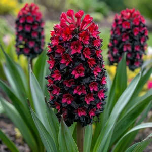 Гиацинт Джем Стоун купить по цене от 2099р. в интернет-магазине «Посадика» с доставкой почтой в в Мосальске и по всей России – [изображение №1].