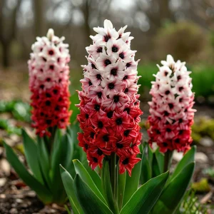 Гиацинт Скай Гарден купить по цене от 2099р. в интернет-магазине «Посадика» с доставкой почтой в в Мосальске и по всей России – [изображение №1].